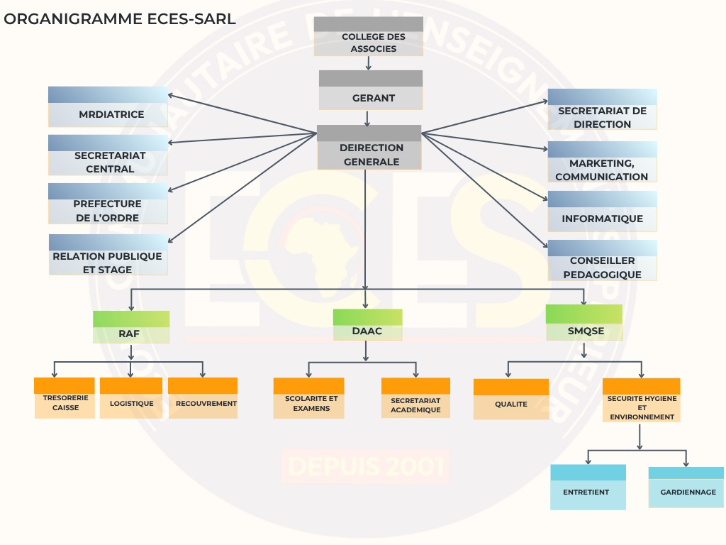 ORGANIGRAMME